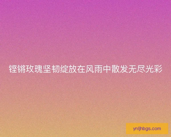 铿锵玫瑰坚韧绽放在风雨中散发无尽光彩